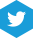 icona Twitter Azzurra