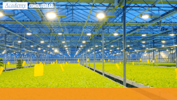 Opportunità delle applicazioni LED in orticoltura